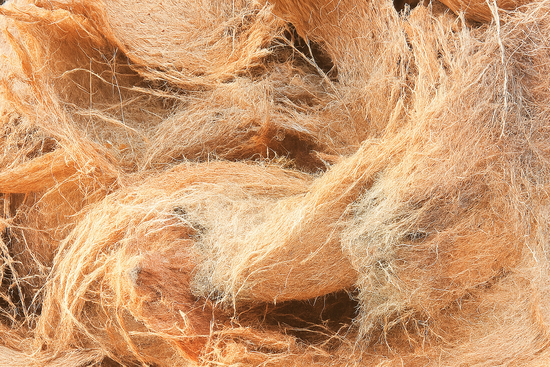 cocoking-home-process image